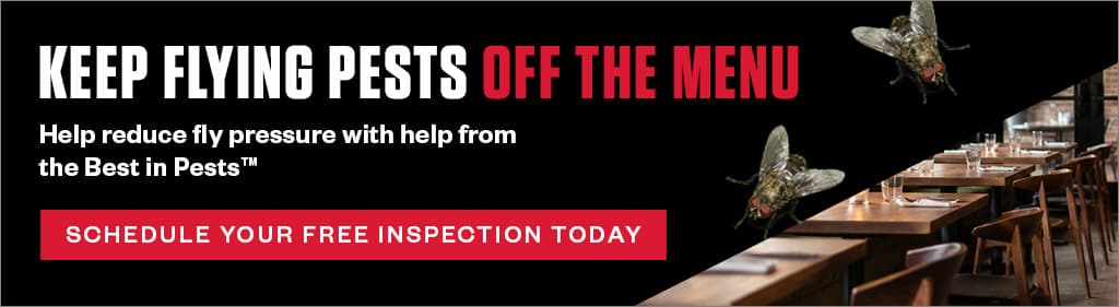 Banner: "Keep flying pests off the menu. Help reduce fly pressure with help from the Best in Pests." Call to action button: "Schedule your free inspection today."