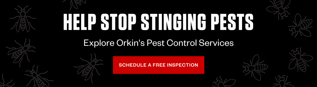 Help stop stinging pests. Explore Orkin's pest control services. Button CTA - Schedule a free inspection.