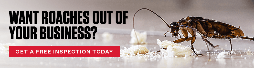 Want roaches out of your business? CTA - Get a free inspection today.
