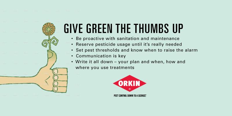 Give the Green Thumbs Up Graphic