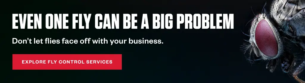 Even one fly can be a big problem. Don't let flies face off with your business. CTA - Explore fly control services.