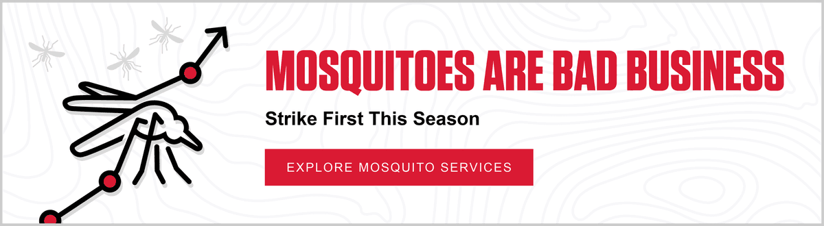 Mosquitoes Are Bad Business Strike First This Season. Button - Explore Mosquito Services
