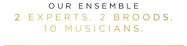 Our Ensemble 2 Experts. 2 Broods. 10 Musicians.