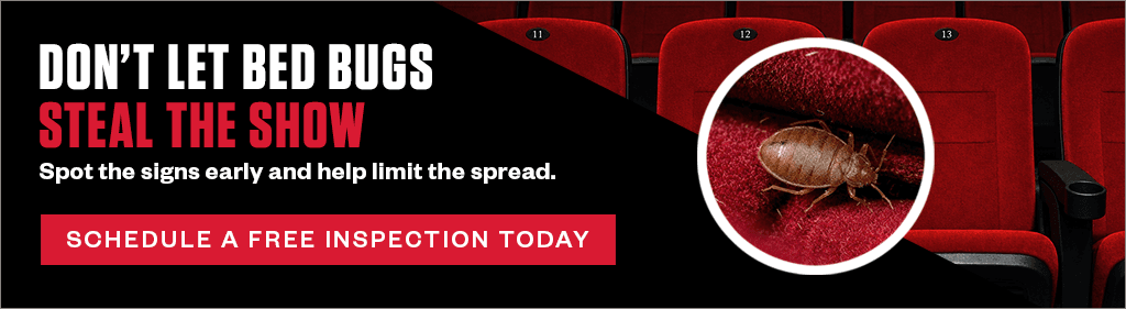 Banner reading "Don't let bed bugs steal the show. Spot the signs early and help limit the spread. Schedule a free inspection today." next to an inset image of a bed bug on a red seat.