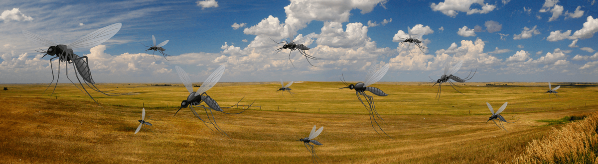 Midwest landscape with illustrated mosquitoes on the trees