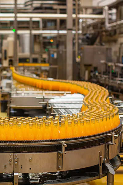 Food & Beverage Processing