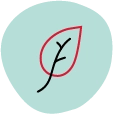 Eco-Friendly, Low Toxicity icon