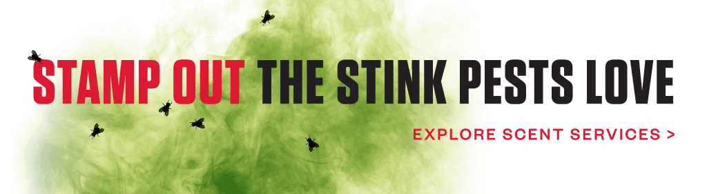 Stamp Out the Stink Pests Love | CTA - Explore Scent Services