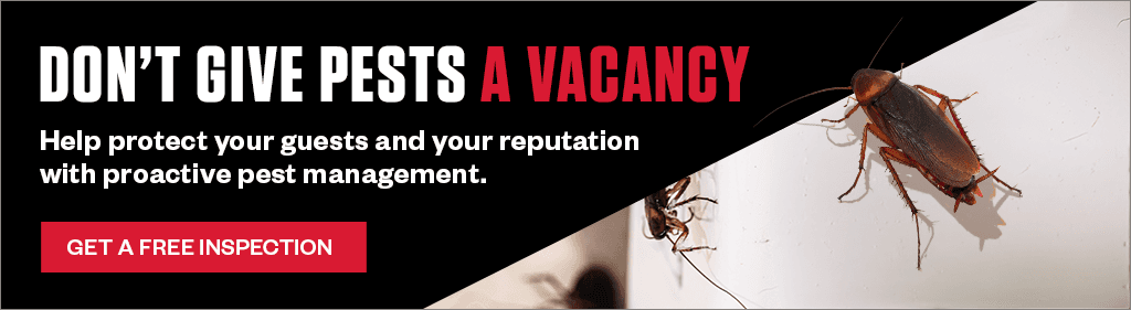 Banner: Don't Give Pests A Vacancy: Help protect your guests and your reputation with proactive pest management. Cockroaches on a wall next to a "Get A Free Inspection" button.