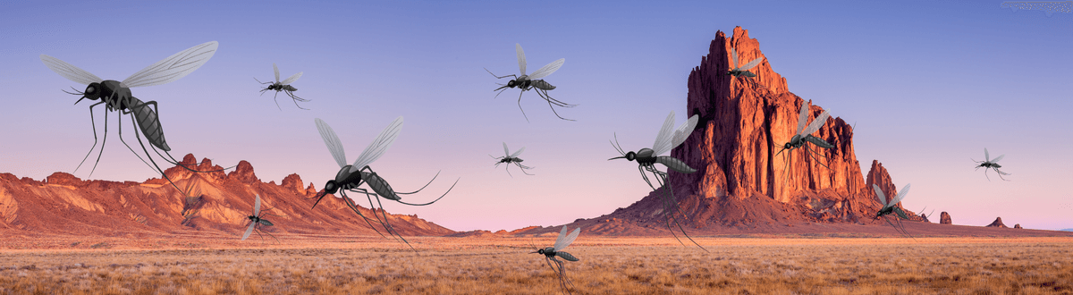 Southwest landscape with illustrated mosquitoes on the trees