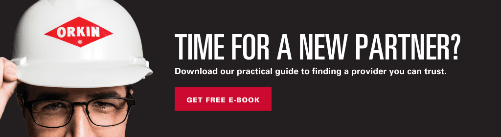 Time for a new partner? Download our practical guide to finding a provider you can trust. Get free e-book.