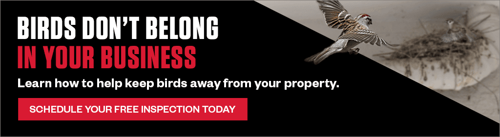 Banner reading "Birds don't belong in your business. Learn how to help keep birds away from your property. Schedule your free inspection today." alongside flying sparrows.