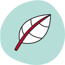 Greener Pest Control icon