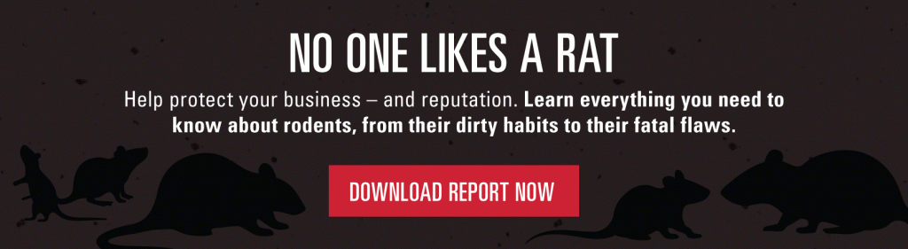 No one likes a rat. Help protect your business - and reputation. Learn everything you need to know about rodents, from their dirty habits to their fatal flaws. Download report now.