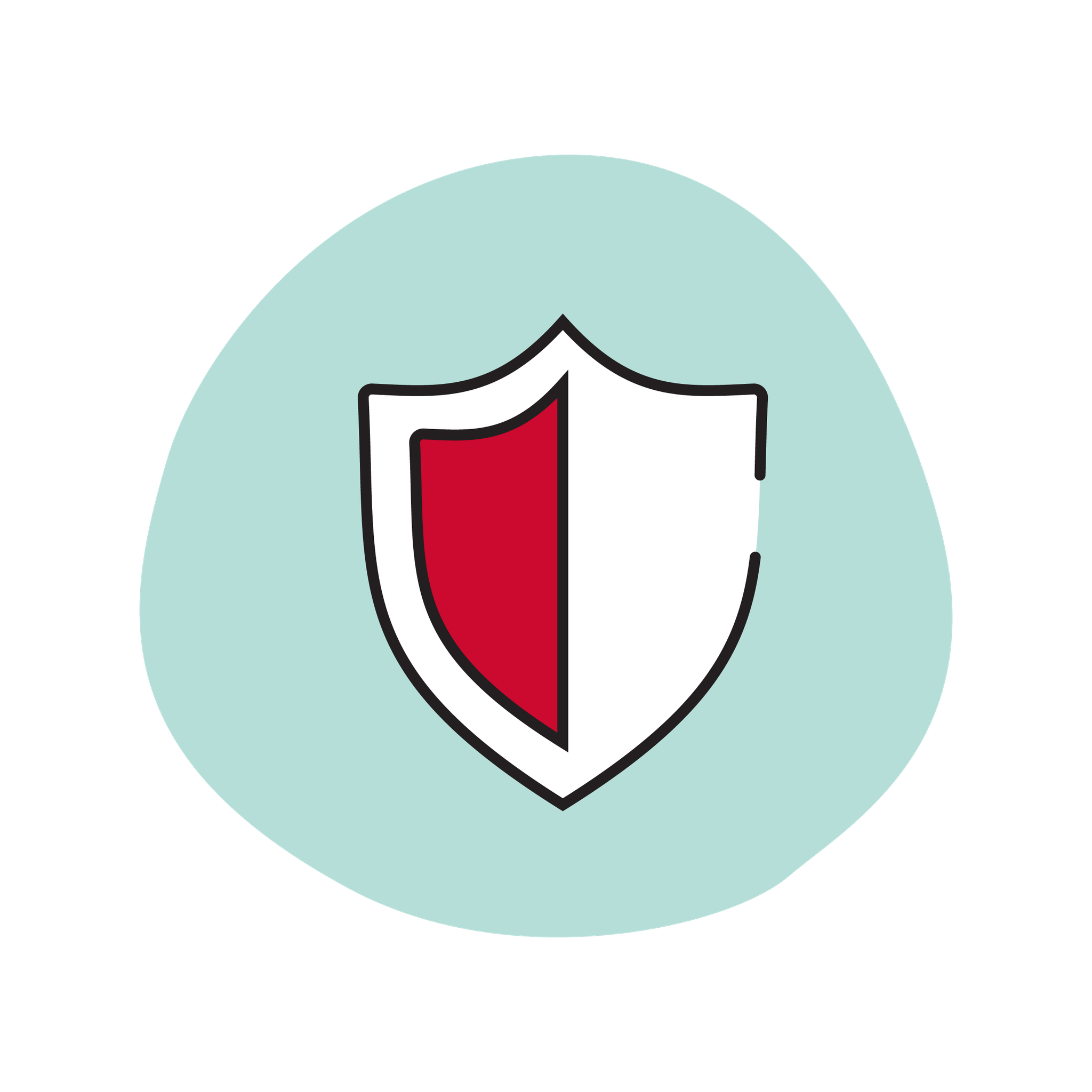 Icon of a protective shield with a red and white face.