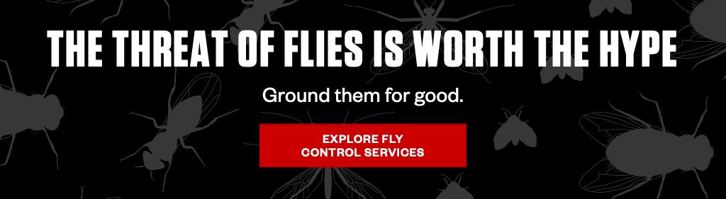 The threat of flies is worth the hype. Ground them for good. Explore Fly Control Services.