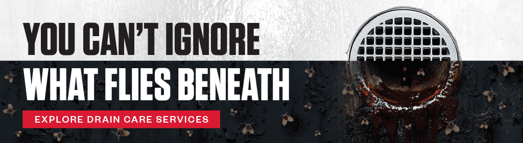 You Can't Ignore What Flies Beneath. CTA - Explore Drain Care Services