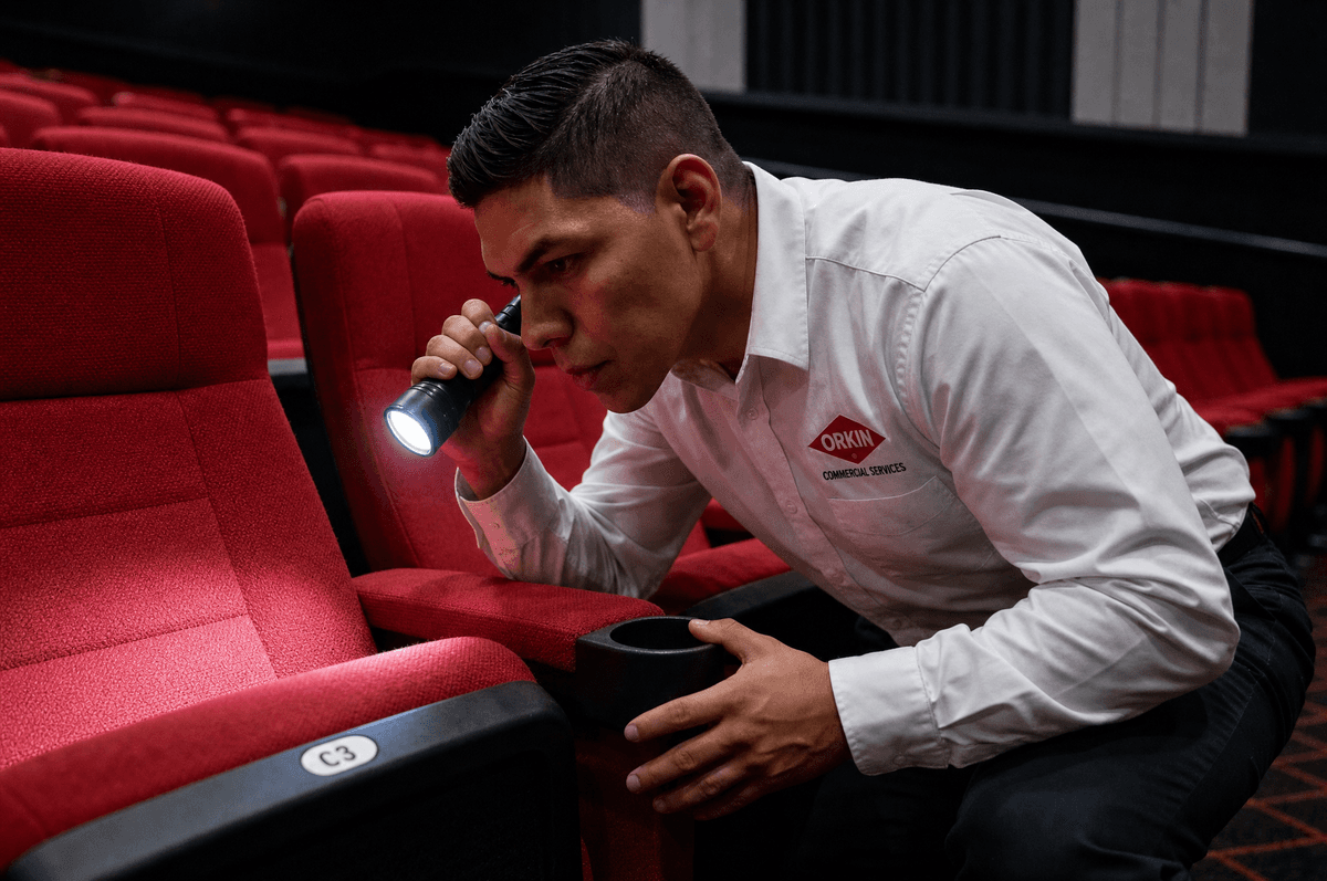 An Orkin Pro using a flashlight to closely inspect red fabric theater seats for bed bugs.