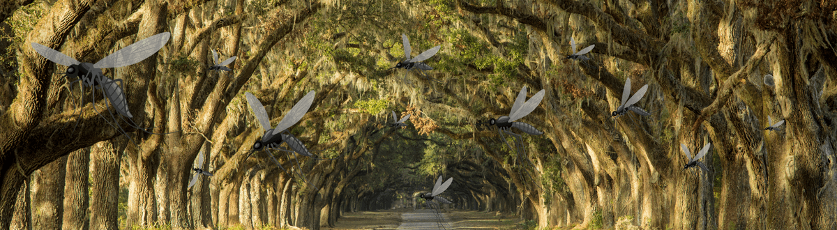 Southeast landscape with illustrated mosquitoes on the trees
