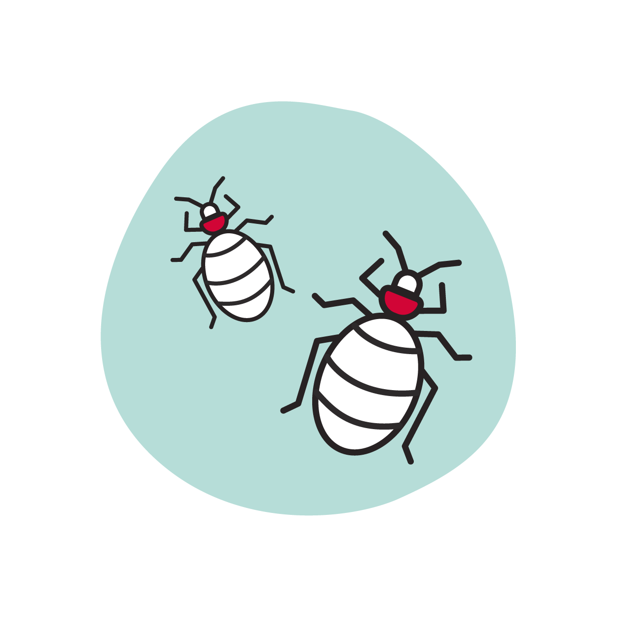 Bed Bug 101 Hospitality Tip Sheet - Image