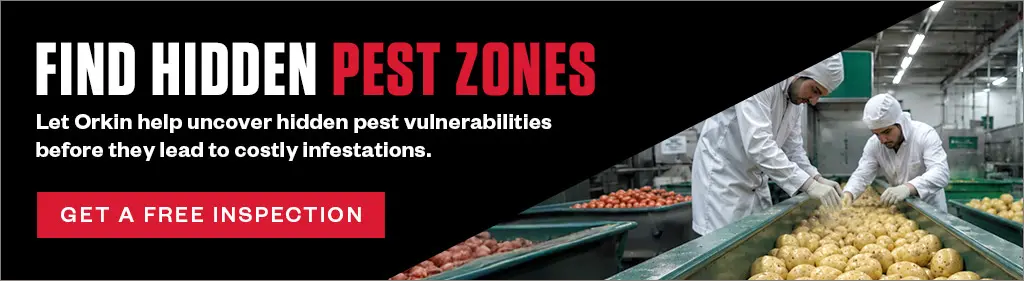 Banner reading "FIND HIDDEN PEST ZONES. Let Orkin help uncover hidden pest vulnerabilities... GET A FREE INSPECTION." Beside the text, workers sort potatoes on a conveyor belt.