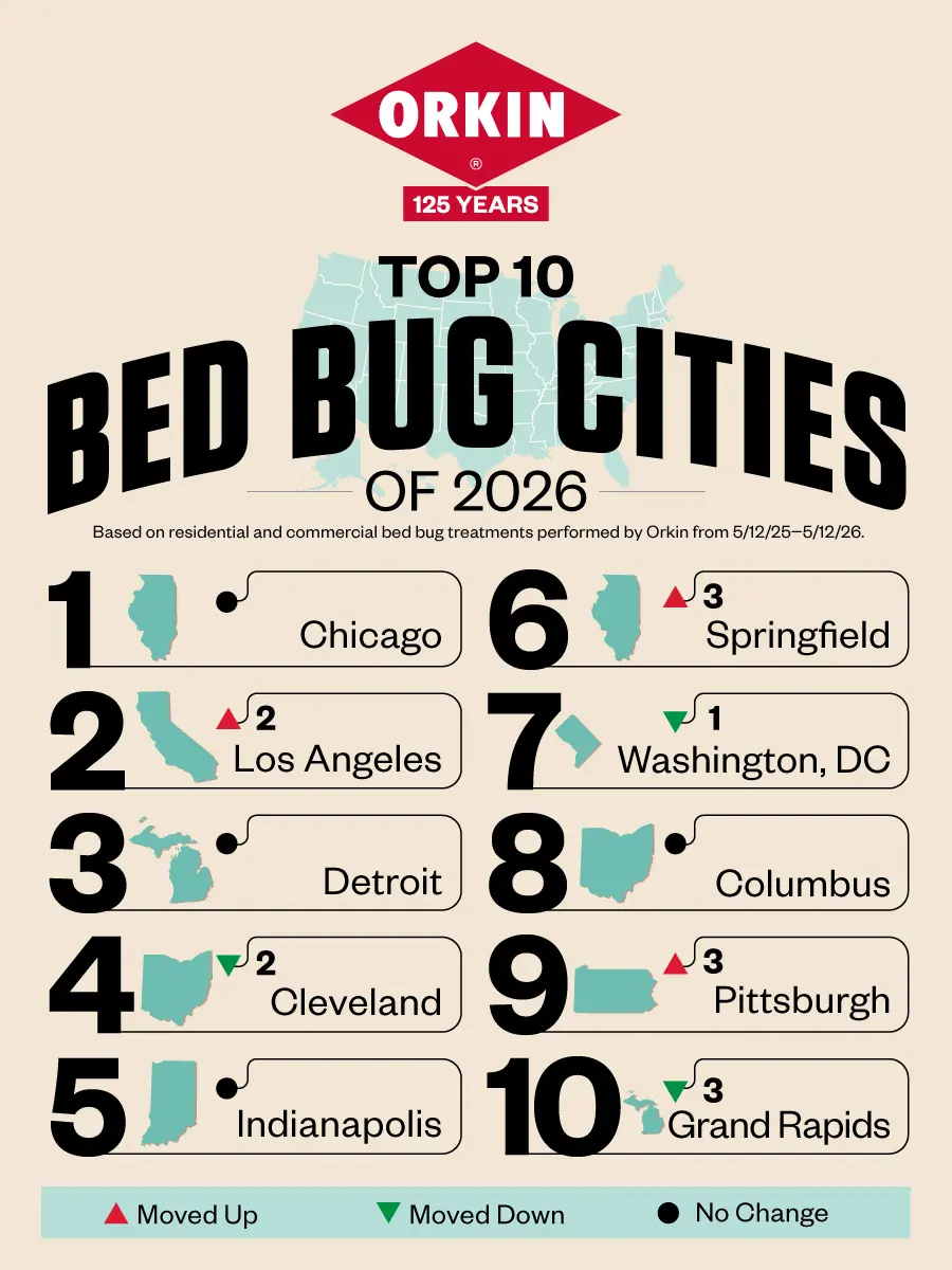 Orkin infographic of the "Top 10 Bed Bug Cities of 2026." Ranked 1 to 10: Chicago, Los Angeles (+2), Detroit, Cleveland (-2), Indianapolis, Springfield (+3), Washington, DC (-1), Columbus, Pittsburgh (+3), and Grand Rapids (-3).