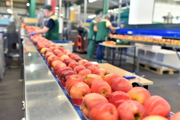 apples-assembly-line