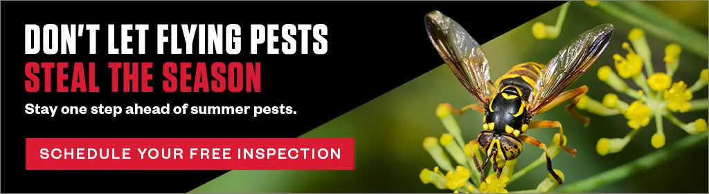 Banner: Don't let flying pests steal the season. Stay one step ahead of summer pests. Schedule your free inspection. Wasp on yellow flowers.