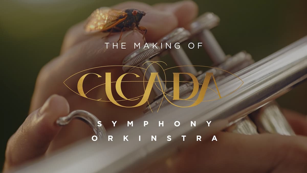 The Making Of - Cicada Symphony Orkinstra
