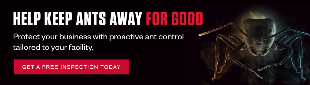 Help Keep Ants Away For Good. Protect your business with proactive ant control tailored to your facility. CTA - Get a Free Inspection Today