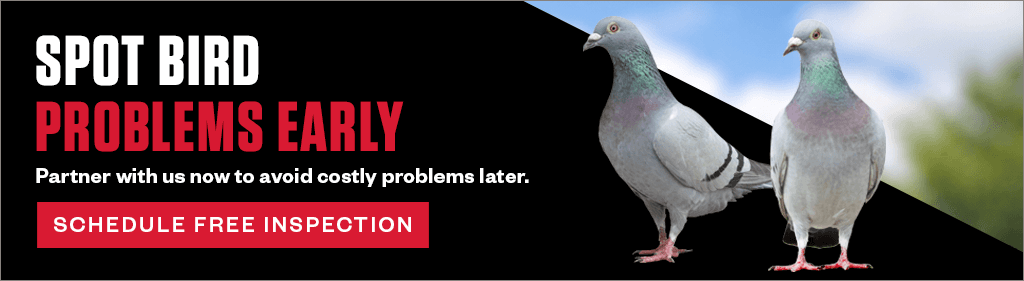 Spot bird problems early. Partner with us now to avoid costly problems later. CTA - schedule free inspection.