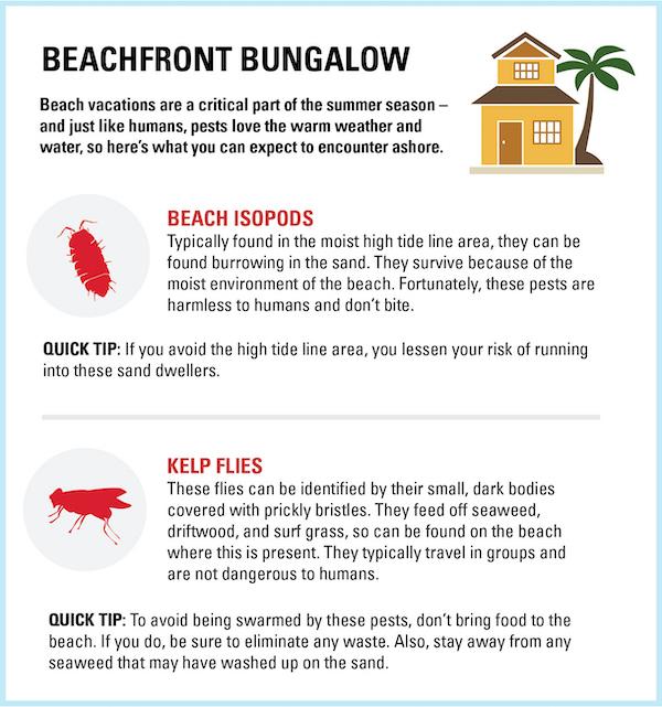 Orkin's Summer Travel Guide - Beachfront Bungalow