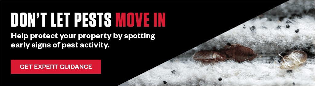 Banner reading "DON'T LET PESTS MOVE IN. Help protect your property by spotting early signs of pest activity." Button says "GET EXPERT GUIDANCE". Includes a close-up image of bed bugs on fabric.