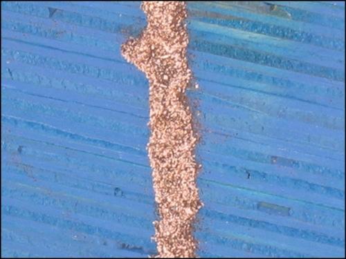 Termite Tube On Plywood Close Up
