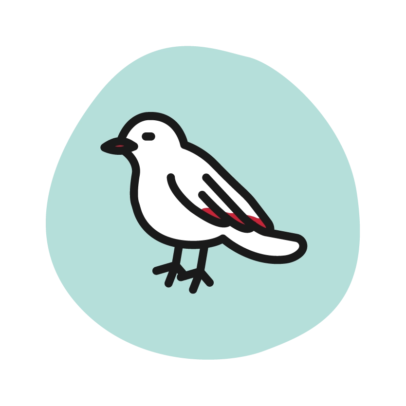 Bird Icon
