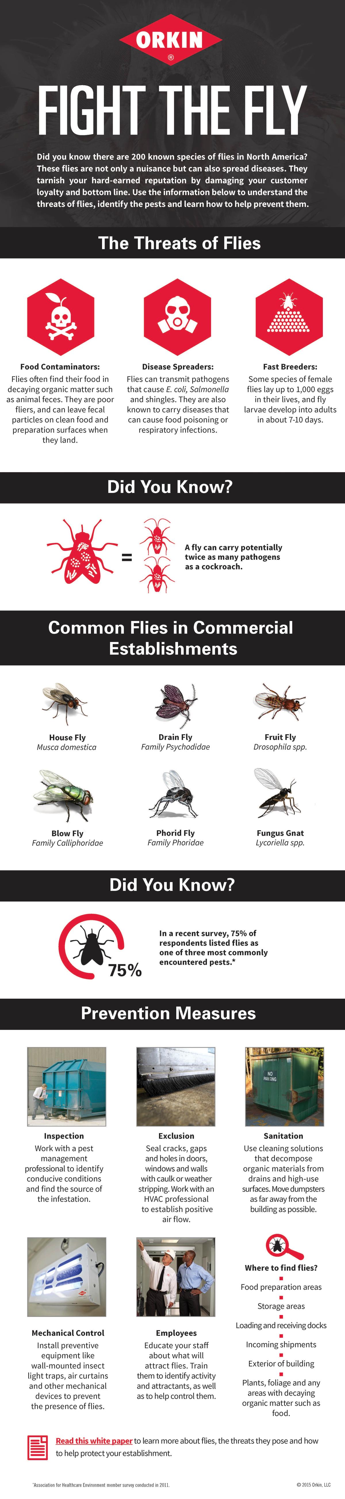 Fight the Fly Infographic