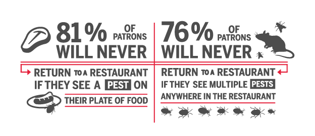 Restaurant Customer Return Statistic Graphic