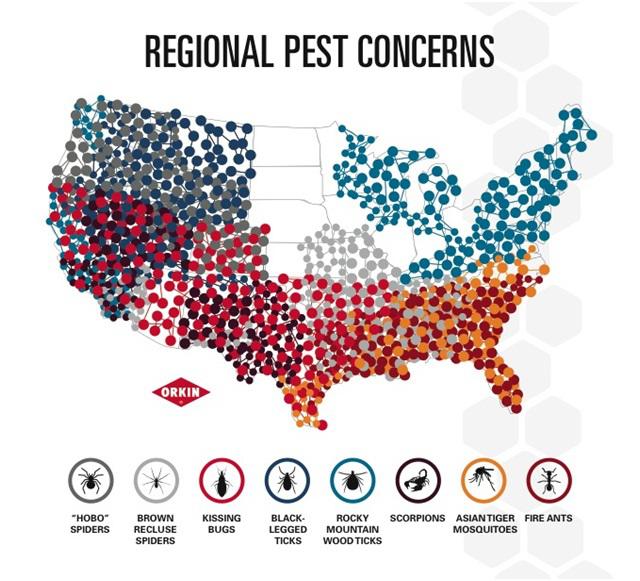 Pest Map