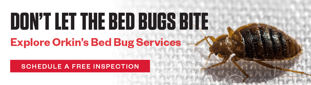 Don't Let the Bed Bugs Bite. Explore Orkin's Bed Bug Services. CTA - Schedule a Free Inspection