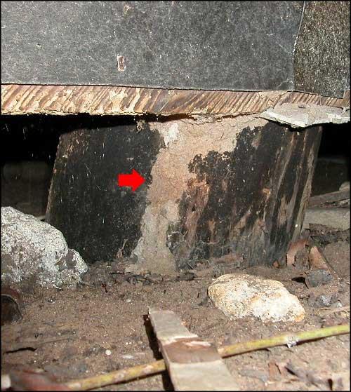 Image of Termite Mud Tube in Building Crawl Space