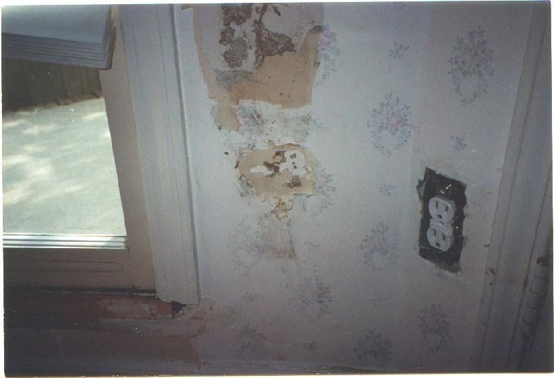 Termite Damage Wallpaper
