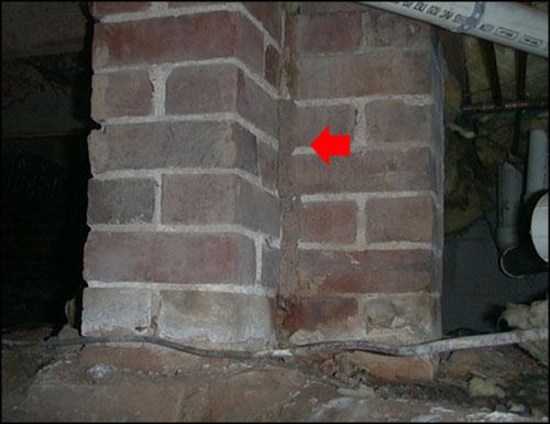 Termite Tunnel in House Foundation