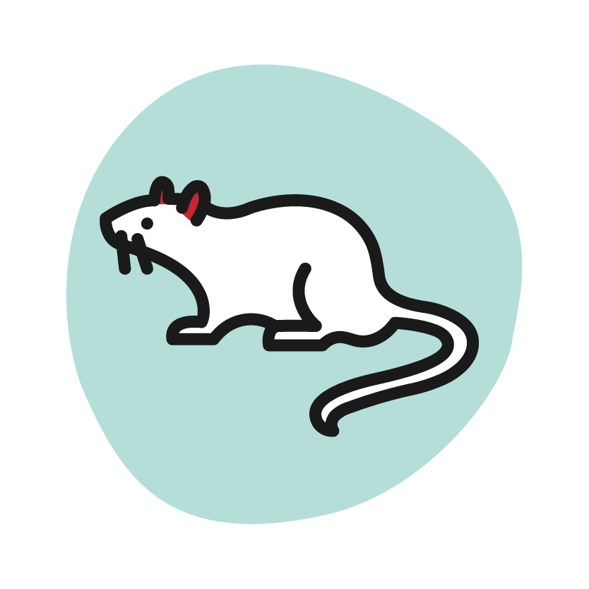 Rodent Icon