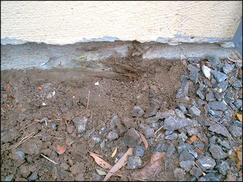 Termite Damage To Large Slab