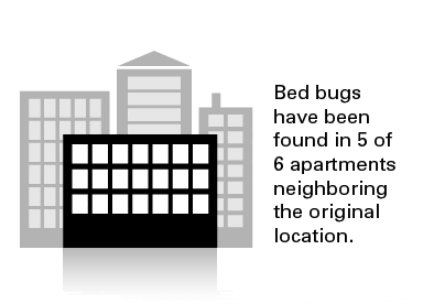 Bed Bug Statistics In Neighboring Apartments