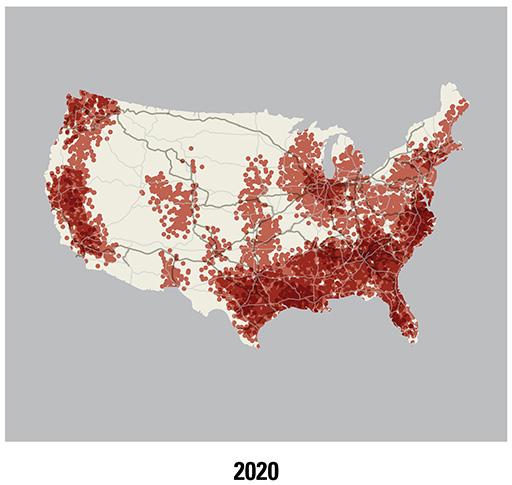 Map of roof rats in U.S. in 2020
