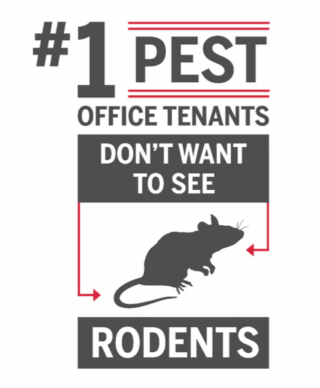 Office Rodent Graphic