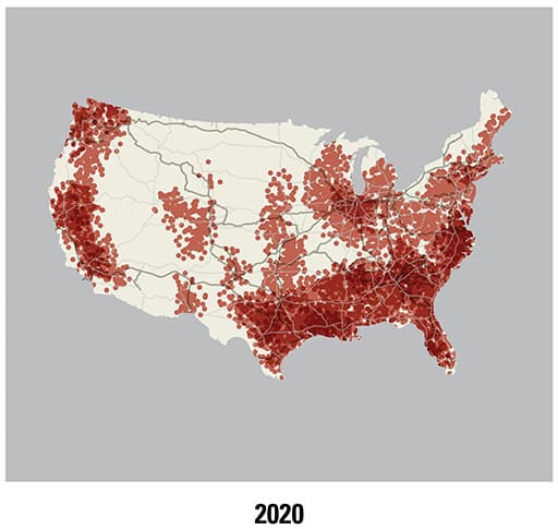 Roof Rat Populations on the Rise: What to Know | Orkin