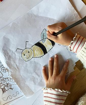 Picture of a child drawing a bee